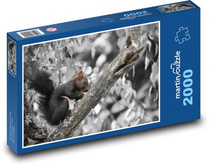 Veverka - hlodavec, zvíře - Puzzle 2000 dílků, rozměr 90x60 cm