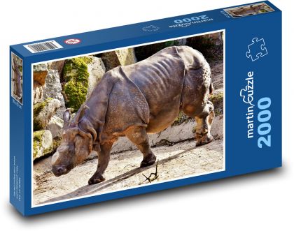 Nosorožec - zvíře, zoo - Puzzle 2000 dílků, rozměr 90x60 cm