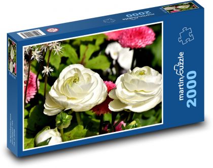 Pryskyřník - květina, zahrada - puzzle 2000 dílků