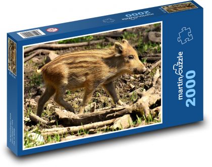 Ferkel - Wildschwein, Ferkel - Puzzle - 2000 Teile
