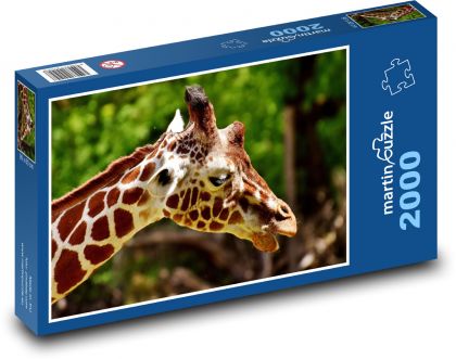 Žirafa - zoo, zvíře - Puzzle 2000 dílků, rozměr 90x60 cm