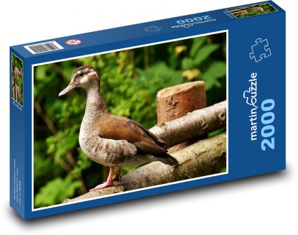 Kachna - vodní pták, zvíře - puzzle 2000 dílků