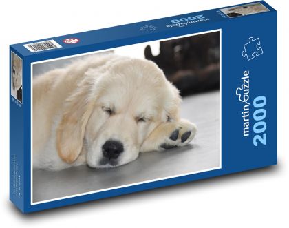 Spiaci pes - zlatý retriever, šteniatko - Puzzle 2000 dielikov, rozmer 90x60 cm 