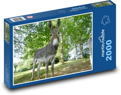 Osel - savec, zvíře - Puzzle 2000 dílků, rozměr 90x60 cm