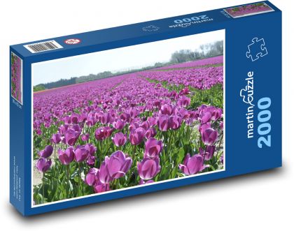 Fialové tulipány - květiny - Puzzle 2000 dílků, rozměr 90x60 cm