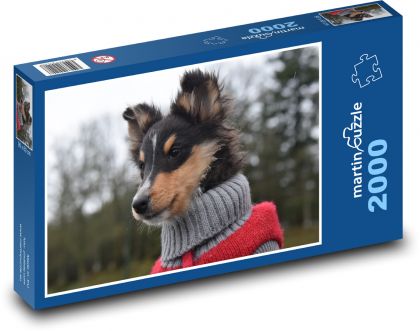Shetland Sheepdog - Hund, Tier - Puzzle - 2000 Teile