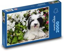 Pes - zvíře, květiny Puzzle 2000 dílků - 90 x 60 cm