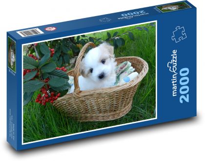 Štěně v košíku - puzzle 2000 dílků