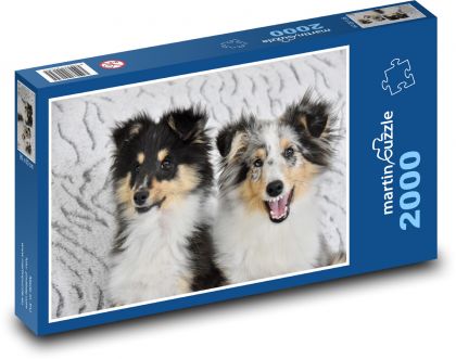 Pies - zwierzę domowe, zwierzę - Puzzle 2000 elementów, rozmiar 90x60 cm