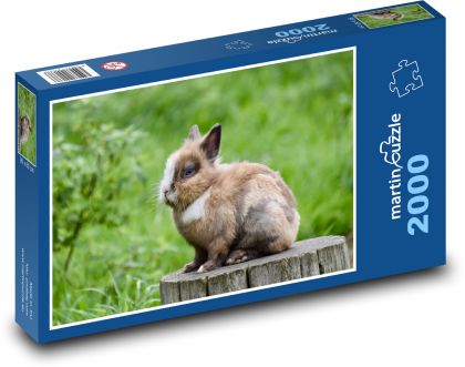 Zakrslý králík - králíček, mazlíček - Puzzle 2000 dílků, rozměr 90x60 cm