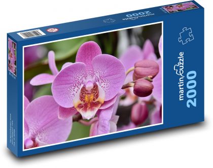 Pink orchid - flower, flower - Puzzle 2000 pieces, size 90x60 cm 