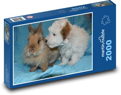 Zakrslý králík - štěně, zvířata - Puzzle 2000 dílků, rozměr 90x60 cm