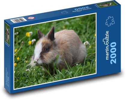 Rabbit in the grass - Puzzle 2000 pieces, size 90x60 cm 