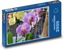 Orchidej - růžový květ, květina Puzzle 2000 dílků - 90 x 60 cm