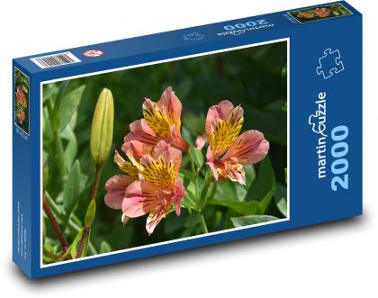 Lilie - květ, poupě - Puzzle 2000 dílků, rozměr 90x60 cm