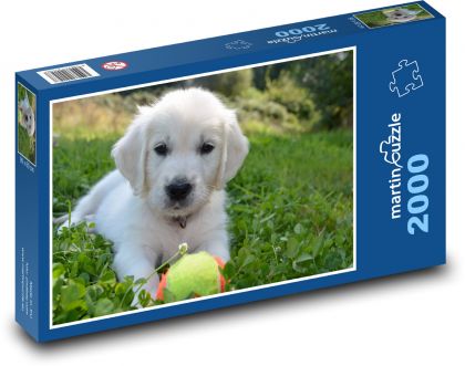 Pes - zlatý retrívr, štěně - Puzzle 2000 dílků, rozměr 90x60 cm