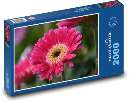 Kvetina - gerbera, kvet - Puzzle 2000 dielikov, rozmer 90x60 cm 