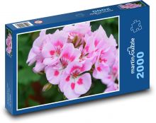 Pelargónie - ružový kvet, muškát Puzzle 2000 dielikov - 90 x 60 cm