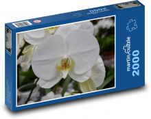 Bílá orchidej - květina, květ Puzzle 2000 - 90x60 cm