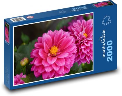 Jiřina - růžový květ, zahrada - Puzzle 2000 dílků, rozměr 90x60 cm