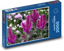 Fialový květ - nevadlec, zahrada Puzzle 2000 dílků - 90 x 60 cm