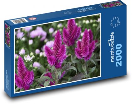 Fialový květ - nevadlec, zahrada - puzzle 2000 dílků