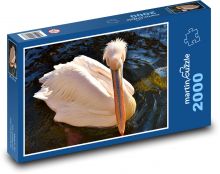 Pelikán - pták, zvíře Puzzle 2000 - 90x60 cm