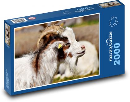 Kozel - zviera, farma - Puzzle 2000 dielikov, rozmer 90x60 cm 