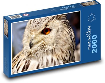 Sova - pták, zvíře - puzzle 2000 dílků