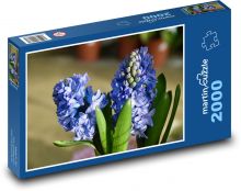 Hyacinth - blue flower, garden Puzzle 2000 pieces - 90 x 60 cm