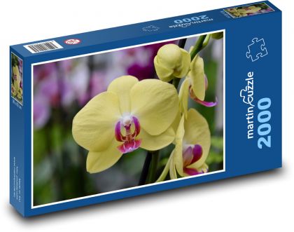 Orchid - flower, yellow flower - Puzzle 2000 pieces, size 90x60 cm 