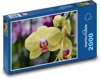 Orchidee - Blume, gelbe Blume - Puzzle - 2000 Teile