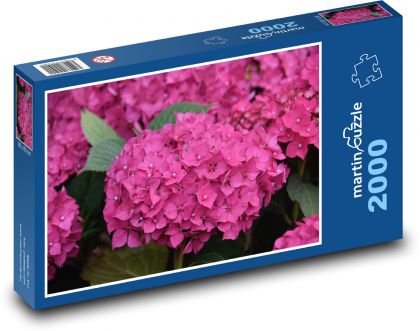 Kwiat - hortensja, różowy kwiat - Puzzle 2000 elementów, rozmiar 90x60 cm