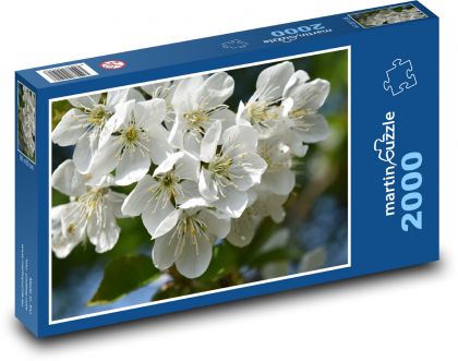 Květy jabloní - strom, jaro - Puzzle 2000 dílků, rozměr 90x60 cm