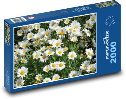Gänseblümchen - Wiese, weiße Blüten - Puzzle - 2000 Teile
