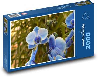 Orchidea - niebieski kwiat, kwiat - Puzzle 2000 elementów, rozmiar 90x60 cm