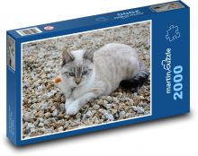 Kočka - domácí mazlíček, zvíře Puzzle 2000 - 90x60 cm