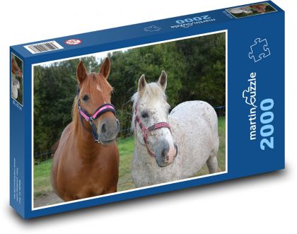Kobyla - kůň, zvířata - puzzle 2000 dílků