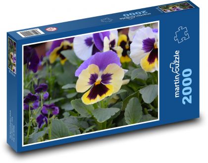 Maceška - květina, zahrada - puzzle 2000 dílků