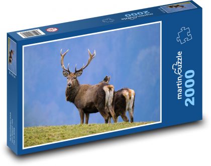 Deer - antlers, wild game - Puzzle 2000 pieces, size 90x60 cm 