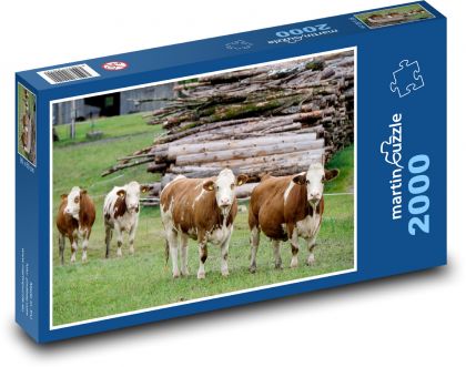 Cow - cattle, dairy cows - Puzzle 2000 pieces, size 90x60 cm 