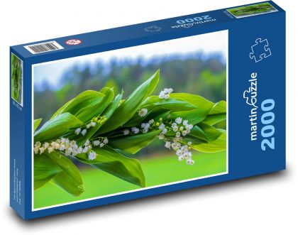 Konvalinky - bílé květy, rostliny - Puzzle 2000 dílků, rozměr 90x60 cm