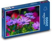 Stokrotka - kwiat, ogród Puzzle 2000 elementów - 90x60 cm