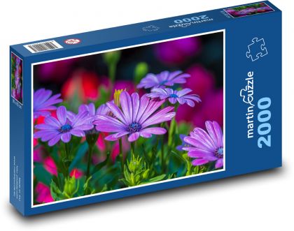 Kopretina - flower, garden - Puzzle 2000 pieces, size 90x60 cm 