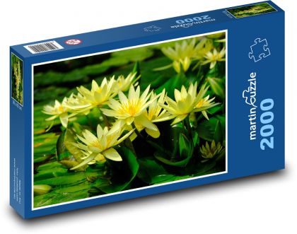 Lekno - žltý kvet, rybník - Puzzle 2000 dielikov, rozmer 90x60 cm 