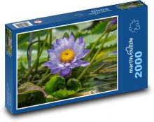 Lotus flower - flower, pond Puzzle 2000 pieces - 90 x 60 cm