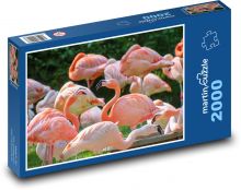 Plameňák - ptáci, zoo Puzzle 2000 - 90x60 cm