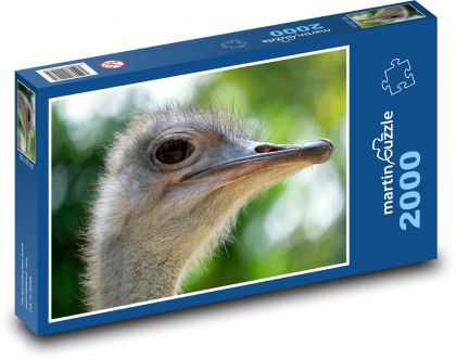 Pštros - emu, pták - Puzzle 2000 dílků, rozměr 90x60 cm