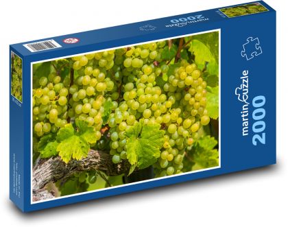 Winogrona - winorośl, owoce - Puzzle 2000 elementów, rozmiar 90x60 cm