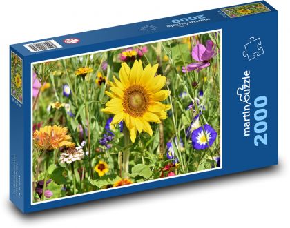 Sunflowers - flowers, flowerbed - Puzzle 2000 pieces, size 90x60 cm 